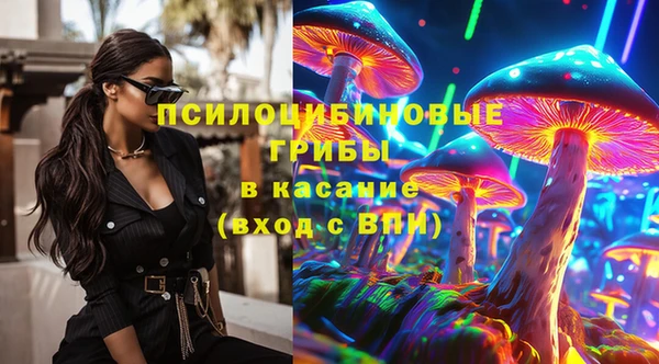 стафф Нефтегорск