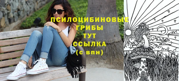 сатива Наволоки