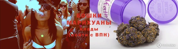 сатива Наволоки