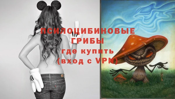 сатива Наволоки