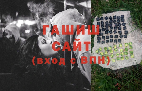 прущие грибы Горно-Алтайск