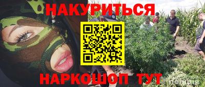 гидра Ирбит