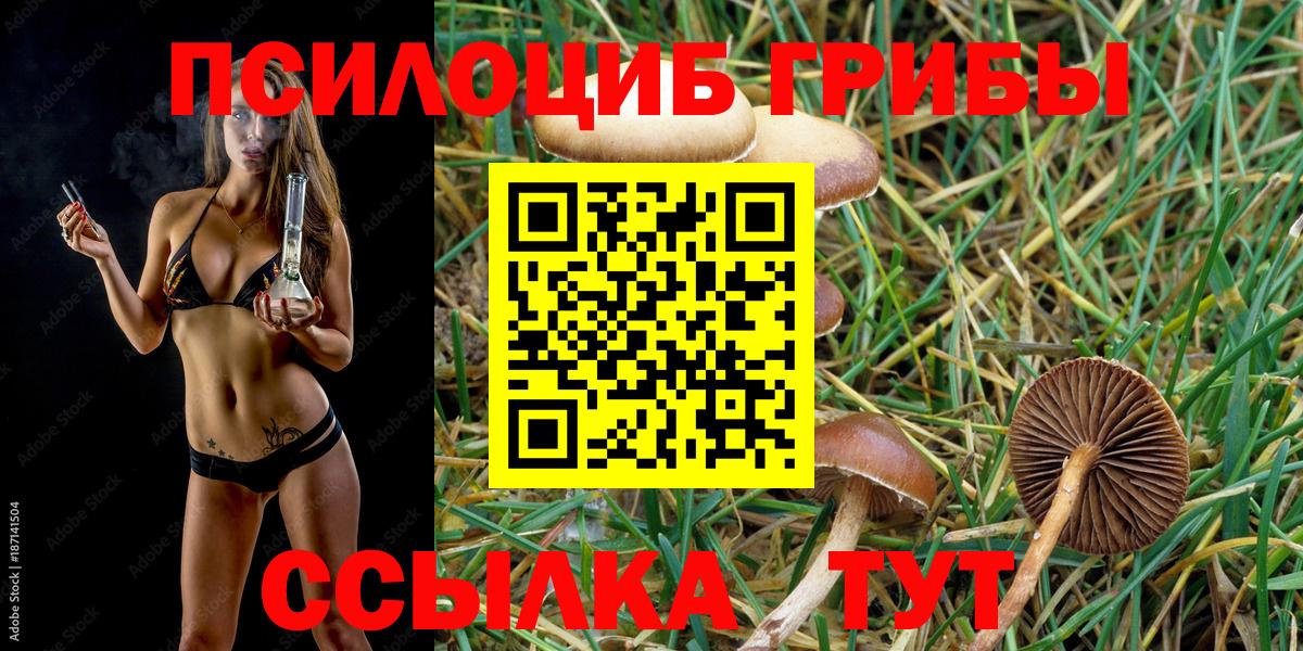 Псилоцибиновые грибы MAGIC MUSHROOMS  Галлюциногенные грибы GOLDEN TEACHER  Кумертау  Вход с VPN 